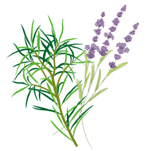 lavender&teatree