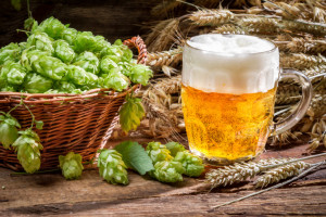 Small beer with a large foam surrounded by hops