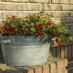 痛みがとれちゃう香り！？