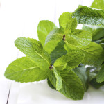 夏はミントに頼っちゃいなよ！