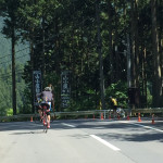 森の香り…と言っても、様々